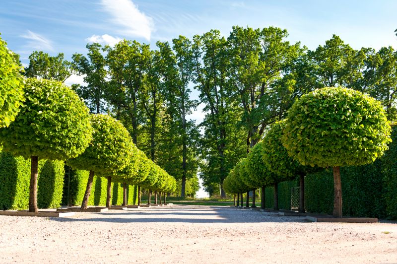 Landscape Pruning Service in Rockwall, TX