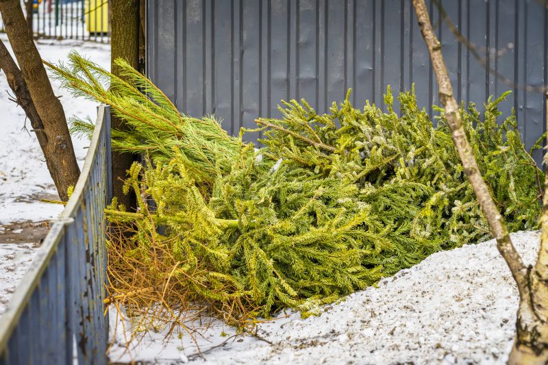 Pine Tree Pruning