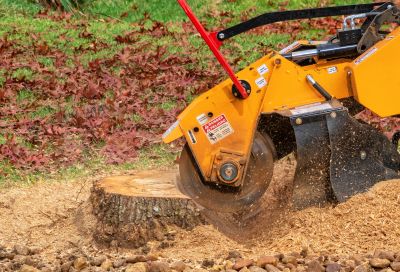 Commercial Stump Grinding in Aiken, SC