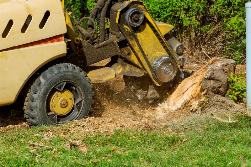 Commercial Stump Grinding in Calvert County, MD
