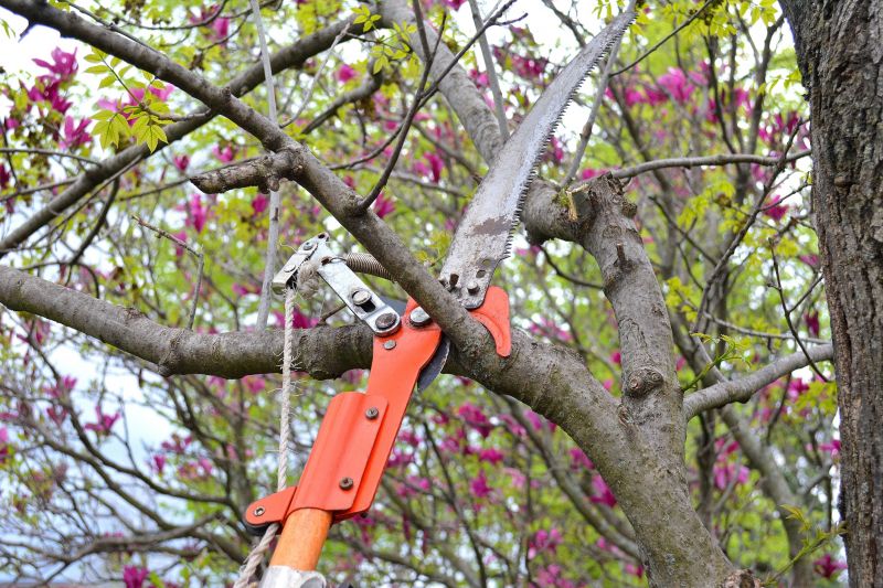 Equipment Used in Pruning