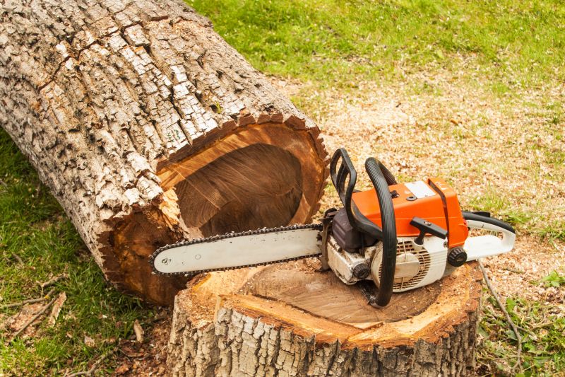 Dead Branch Removal in Pottstown, PA