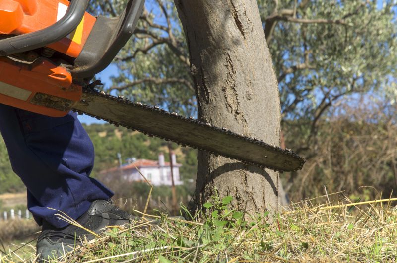 Dead Tree Removal in Montgomery County, PA
