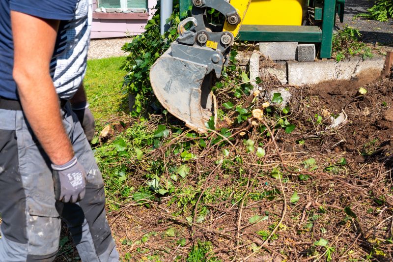 Hedge Removal Service in Ventura County, CA