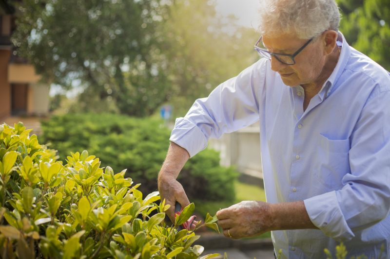 Shrubs Removal in Aiken, SC