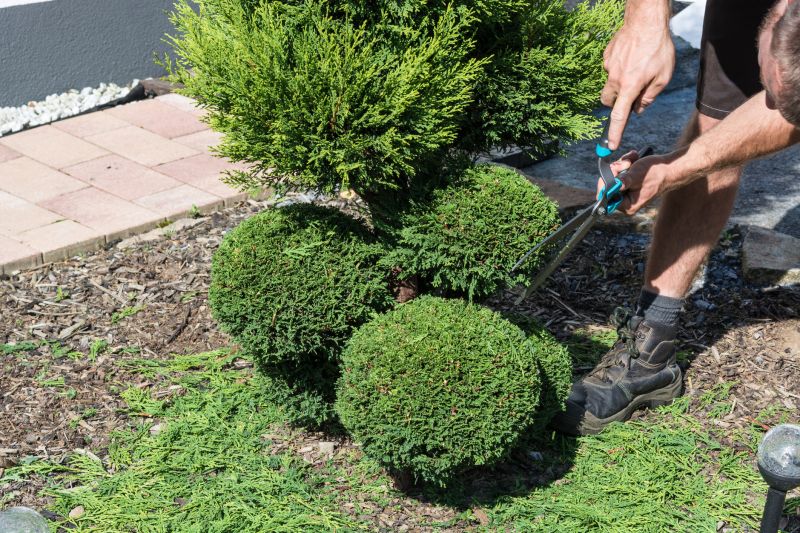 Shrubs Removal in Rockwall, TX