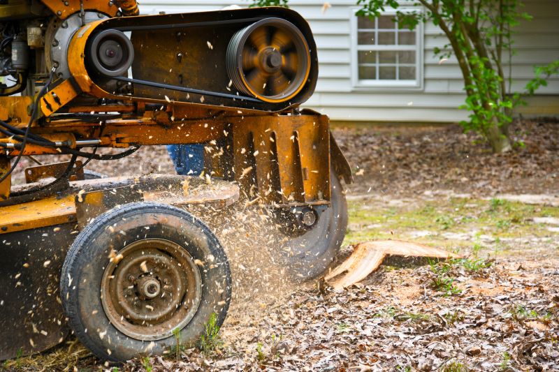 Stump Grinding Service in Aiken, SC
