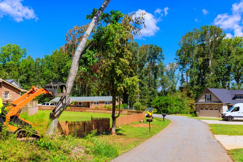 Tree Removal Service in Bucks County, PA