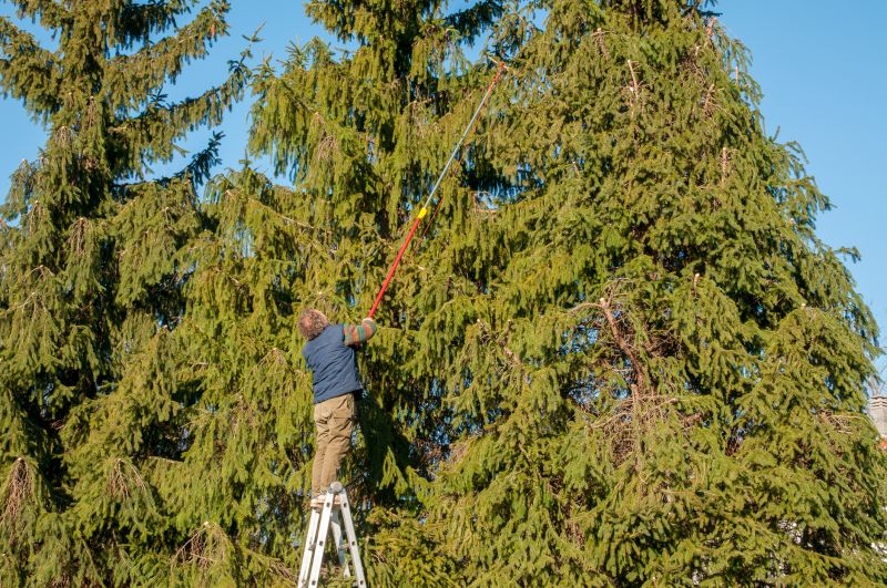 Prevent Storm Damage
