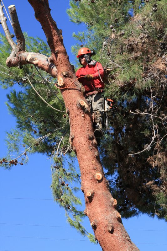Reduce Fire Risk